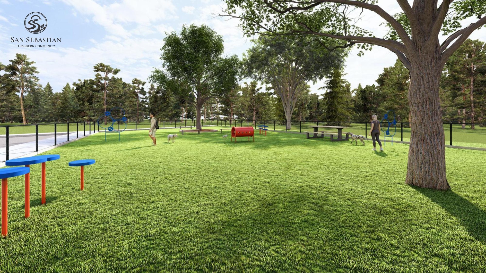 Dog-friendly park with agility equipment